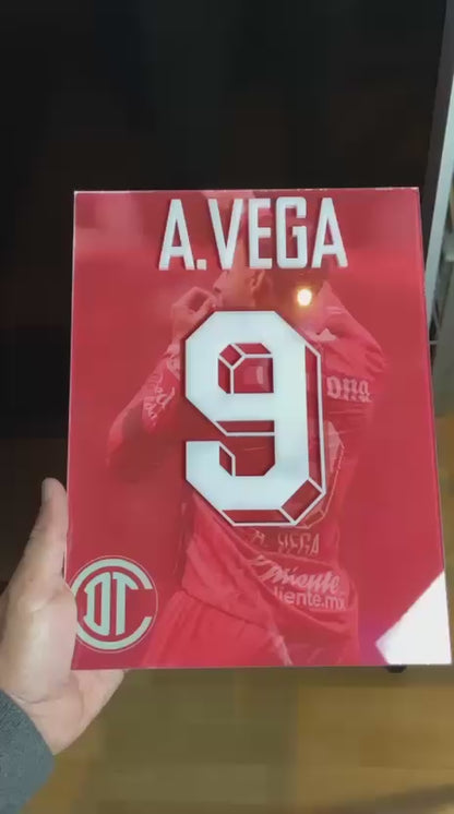 CUADRO DECORATIVO EN ACRÍLICO A.VEGA (TOLUCA)